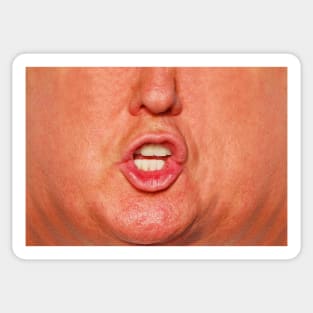 Trump Mouth Mask Nose Face Sticker